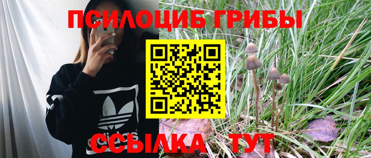 Галлюциногенные грибы Psilocybine cubensis Урюпинск