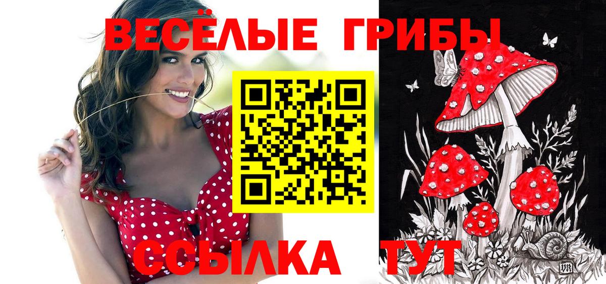 Урюпинск  закладки  Вход с VPN  Галлюциногенные грибы Psilocybine cubensis 